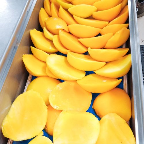 Townsville-based fruit processing business