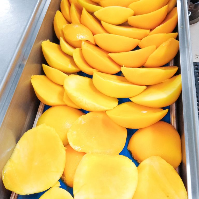 Simsha Tropical Fruit Processor in townsville